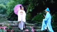 夢入桃花園