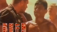 1993年 <戰龍在野> 電影廣告