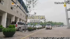 偶像明星運動會