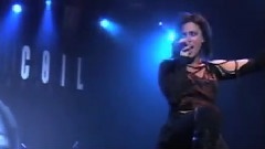 Live At Loudpark