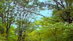 民樂群星 - 秋湖月夜