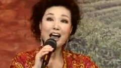 民樂群星 - 中不中