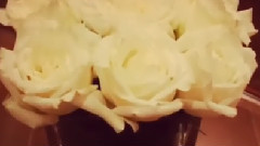 張杰更新Ins視頻一則