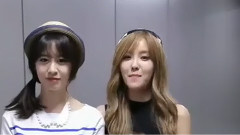 T-ARA給2014年仁川K-POP節 問候VCR