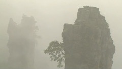 春光美之人間仙境張家界