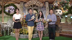 SBS TV動物農場