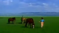 歸來的馬