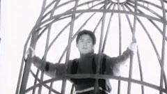 張學友 - 望月