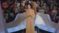 鄧麗君 - 夜的乘客