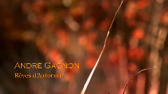 Reves d'Automne(秋天的夢)