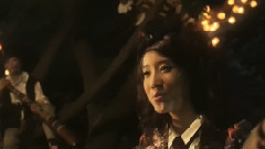 斑馬與蝴蝶