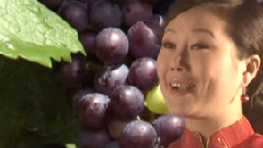 我們的家