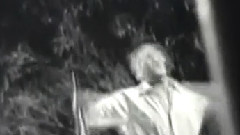 相似的愛情